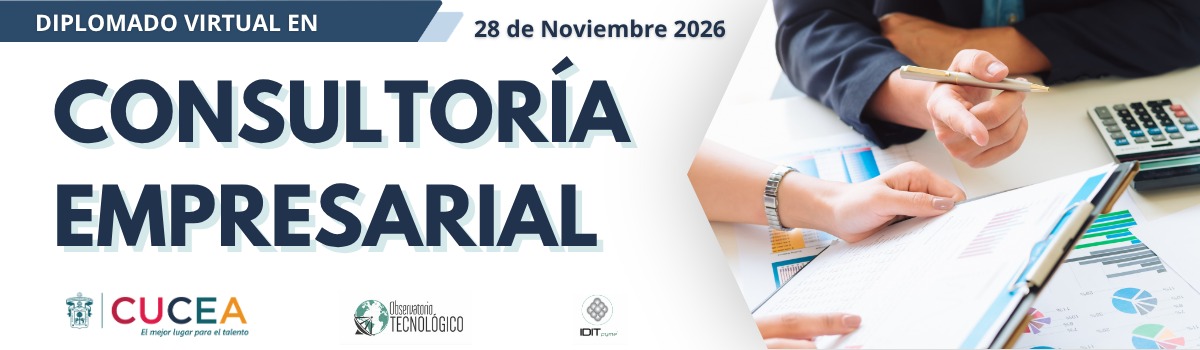 Diplomado en Consultoría Empresarial